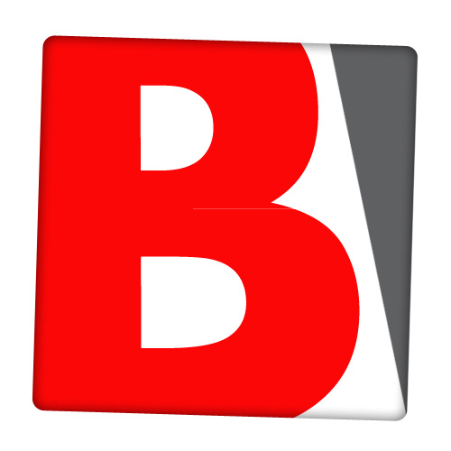 Logo Biblinsa